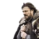 SirFinley