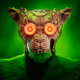Wilder_Ninja