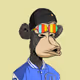 alexxxnlp