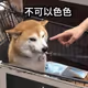ganxygc