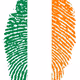 IrishRover