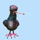 weallhatepigeons