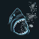 SharkCity