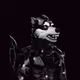 WolfofCollinsSt