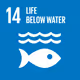 14-under-water