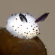 John_Dohhhhh