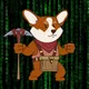 ---_doge_---