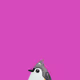 0xdd1dc9828be58693a07bcd65ff0e4b110552266a