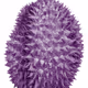 ThePurpleDurian