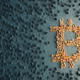 cryptosboy