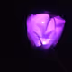purplebellevanillasky