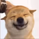 0xdd44623acd191df06e106593d506510bd8e30d55