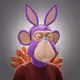 RoloBear