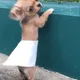 NFTinitcom_Friend_NFTButler