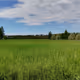 Finland_in_pictures