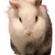 0xdd8b7a3aa4ffc6d4680035573d8c755e2e762029