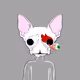 0xdd926785fe90d8c407f17808c2a5d50be0fa50e0