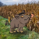 Oliver_Wild_Boar