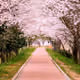 mei4