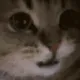 0xtentacion