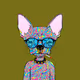 0xddd7a9710e85b2f8e4d230feddda9e51a865d436
