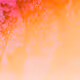 0314