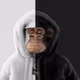 MR_RYPTO