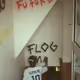 Leaguessdrtf