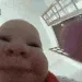 kongboy_degenwallet