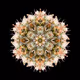 KaleidoBuds