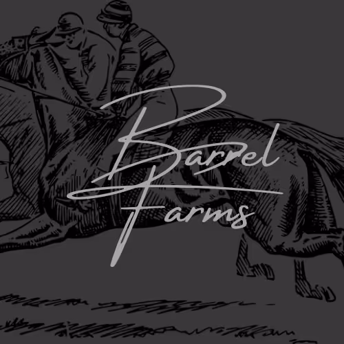 OpenSea profile picture for @Barrel