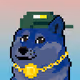 dpupperr_b4f