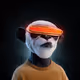 henrydesouza16