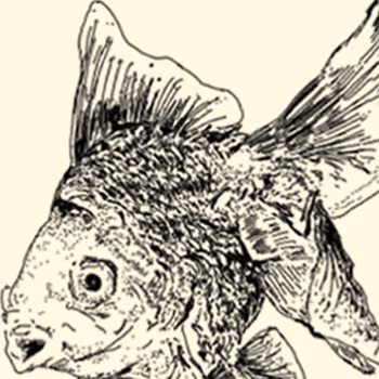 OpenSea profile picture for @strangers