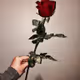 0xdee8df246da85cc50e1e5a390602f2ba880851e4