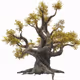 CryptoGenealogical