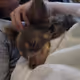 franklykayleigh