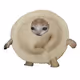 0xdf3062db8b47e962e8e84775f702f1b80eba1948