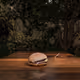 Wundersandor_3d