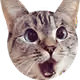 Sirirush