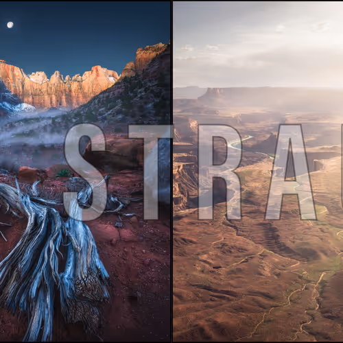 OpenSea banner for @Strauss