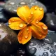 0xdfa0e5bb8888c87ab2d487d44aa678903afbe586