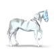Squntie