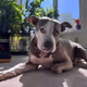 QueenKali