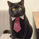 FancyX