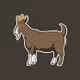 GoatMeatKing