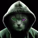 0xe001d9929169aaa342a277b5adaeca7d9682e57a