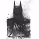 BruceWayne1