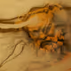 0xe03432b3813029bbb518cf1b554bc6083c844fa8