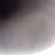 Panther7